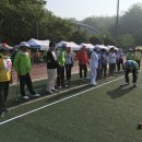 제96회 경기도협회장기 중부지역 의왕시게이트볼대회 이미지
