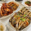 쫑포 금바우 이미지