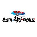 용인대 새로 태권도 이미지