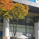 코오롱디지털타워빌란트Ⅱ | 나이스카페인클럽 코오롱타워점, 구디 직장인의 생명수 모닝커피 내돈내산 단골 인증!