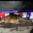 청룡당구장 이미지