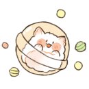 치즈플라워 이미지
