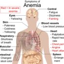 더 바른병원 이미지