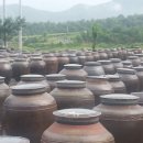 산속이농장 이미지