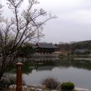 향기만발