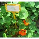 파란꿈유치원 이미지