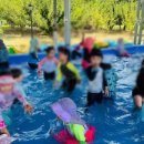 배영유치원 이미지