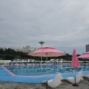 피자알볼로 공도점 | 잠원 한강수영장 주말 야간 방문 후기