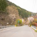 산수정산장 이미지