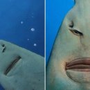 아쿠아리움 이미지