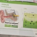 에코보청기 청각난청센터 노원점 | 에코보청기 청각난청센터 노원점 노원구보청기 전문청능사 대표원장 운영