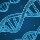 인간 유전체 98% 분석하는 AI 공개… 질병 원인 찾아낸다 이미지