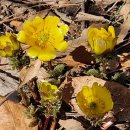 경암공원1 이미지