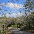 아라메길 관광안내소 이미지