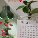 폴러들의공간 이미지