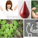 도삼지 Daum카페