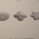 도원프라자 | [시청역 플라자호텔] 도원 런치 후기