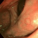 효천내과의원 이미지