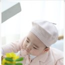 노란꽃민들레사진관