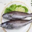 화태바다 이미지