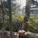 캠핑 라운드 | [양산 캠핑] 차박 및 다양한 스타일의 캠핑이 가능한 캠핑라운드 C3 사이트 후기