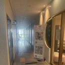 제이드브로우 | 영종하늘도시 속눈썹 맛집 제이드브로우만족스러운 속눈썹펌 후기