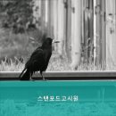 스텐퍼드고시원