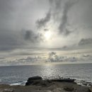 코코농장 1 이미지