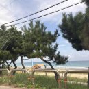 (주)바우와우코리아 | 언니따라 맛따라 속초 2박3일(고궁회관/치커리생구이/북청닭강정🩷/감자바우)