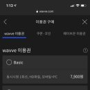 웨이브 공동구매 이미지