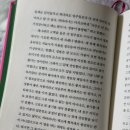 카타리나킴 이미지
