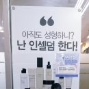 위더스 인셀덤