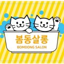 봄동살롱 이미지