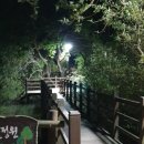 송정 박상진호수공원 미로물정원 이미지