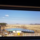 흰구름펜션