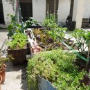 천심농장 이미지