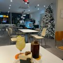 카페수 | 광교카페거리카페 대형트리 케이크 맛집 카페수나 솔직후기