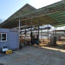 평촌목장 이미지