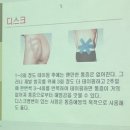 생활건강 테이핑+마사지 이미지