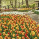 용비쉼터 이미지