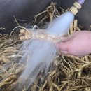 약산농장 이미지