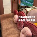 수원-1432 | 수원사주카페 처세술 사주쟁이 타로 솔직후기