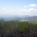 진달래 핀 풍경 이미지