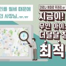 공식할인점 네이버블로그