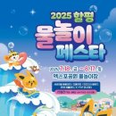 마이스정보사이트 - 서울썸머비치 이미지