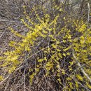 태안읍 행정복지센터 이미지