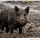당현초등학교 이미지