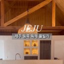 선셋티아 이미지