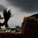 가산1리 이미지