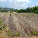 전라남도농업기술원 축산연구소 이미지